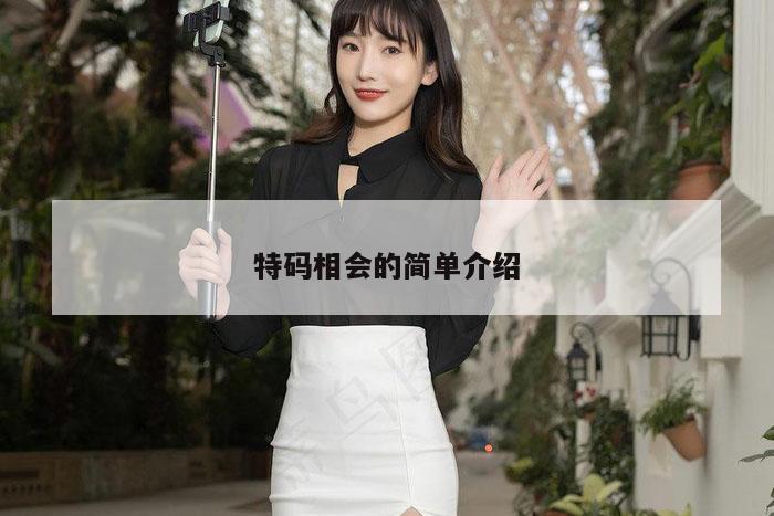 特码相会的简单介绍
