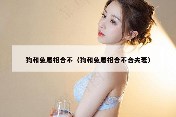 狗和兔属相合不(狗和兔属相合不合夫妻)