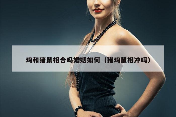 鸡和猪鼠相合吗婚姻如何(猪鸡鼠相冲吗)