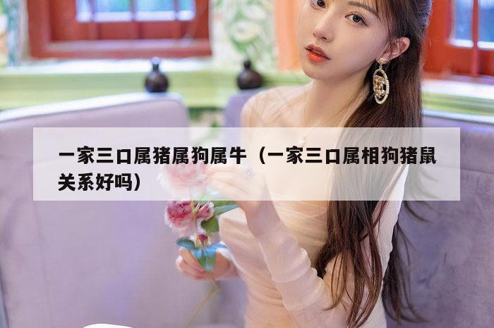 一家三口属猪属狗属牛（一家三口属相狗猪鼠关系好吗）