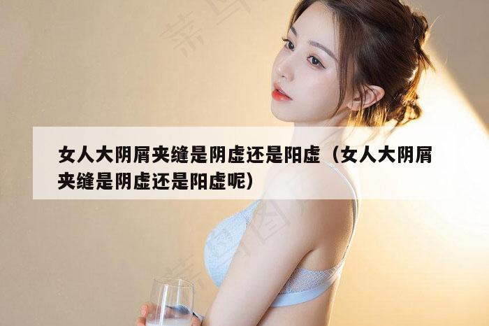 女人大阴屑夹缝是阴虚还是阳虚（女人大阴屑夹缝是阴虚还是阳虚呢）